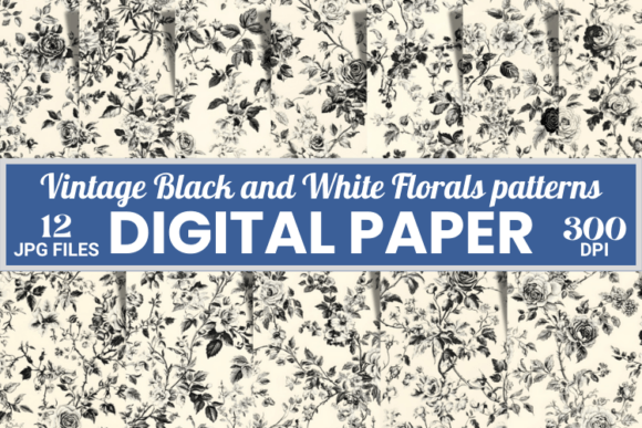 Vintage French Toile Black White Pattern